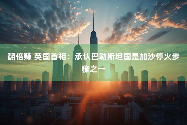 翻倍赚 英国首相：承认巴勒斯坦国是加沙停火步骤之一