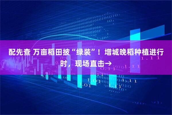 配先查 万亩稻田披“绿装”！增城晚稻种植进行时，现场直击→