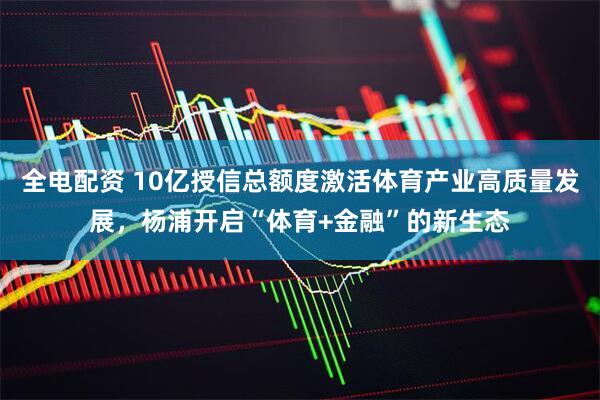 全电配资 10亿授信总额度激活体育产业高质量发展，杨浦开启“体育+金融”的新生态